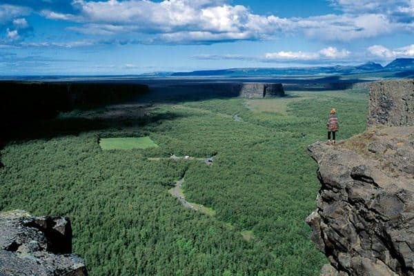 Camping in Ásbyrgi canyon, North Iceland