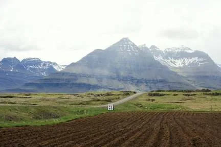 Driving the Ring road