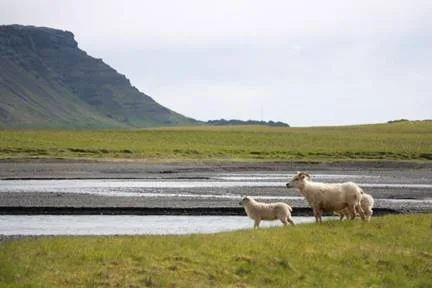 The drive to Borgarfjörður Eystri