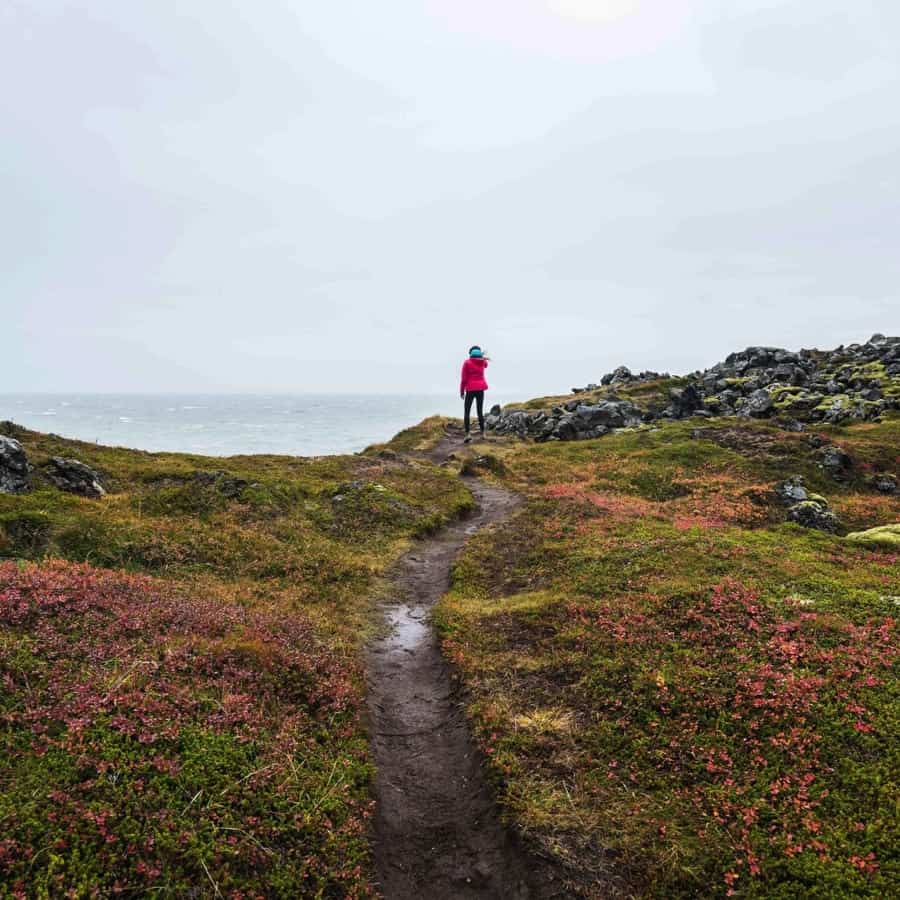 Fighting the Icelandic wind