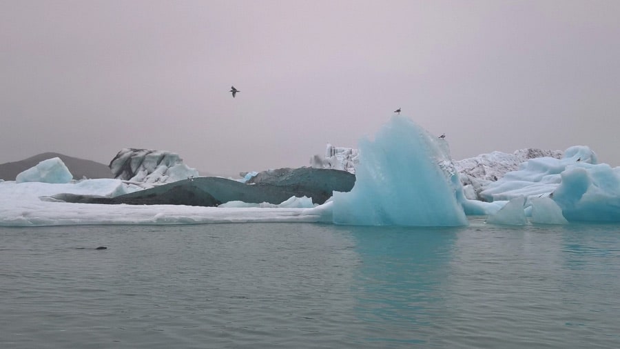 Jökulsárlón glacier lagoon