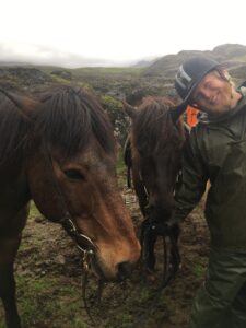 horseback riding Iceland horseback riding Iceland