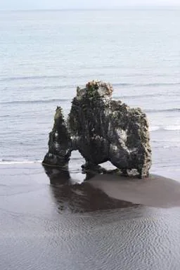 Hvitserkur - Rhino Rock