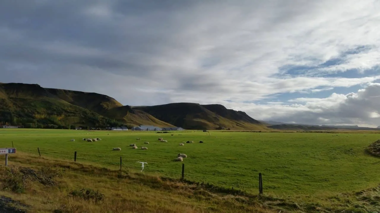 Icelandic roadtrip