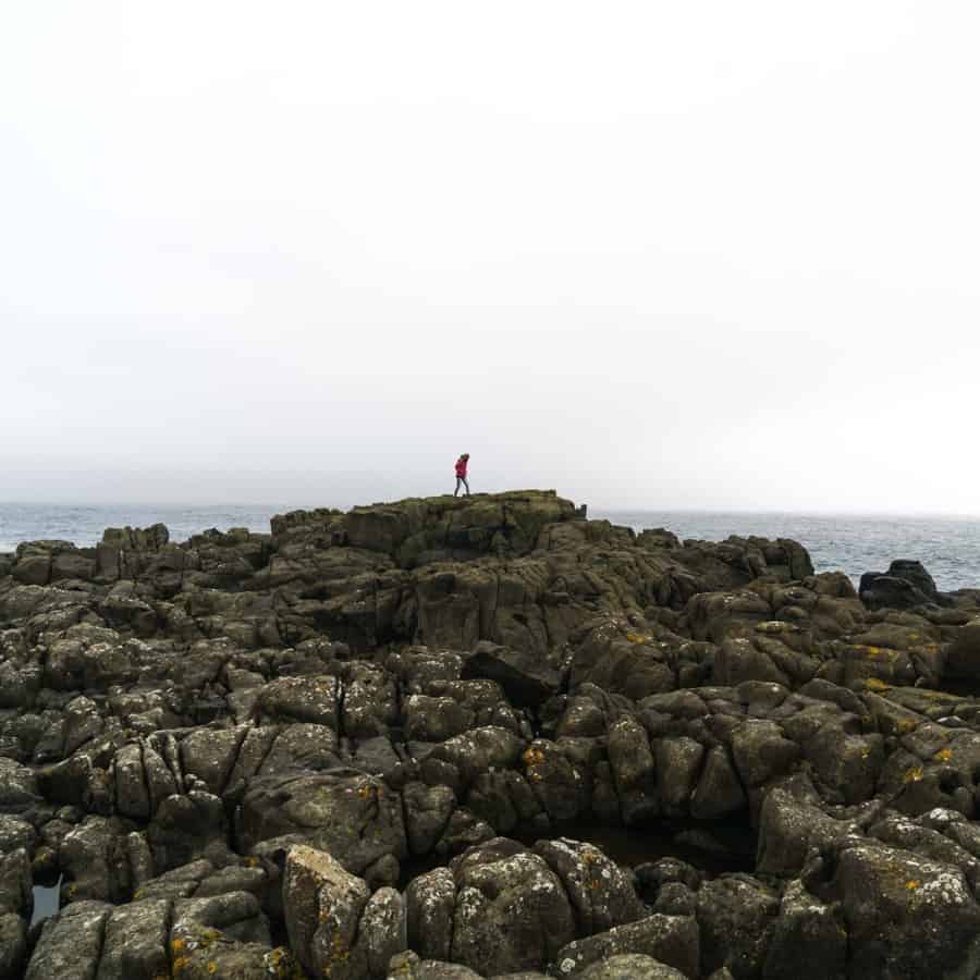 Rocky shores of southeast Iceland