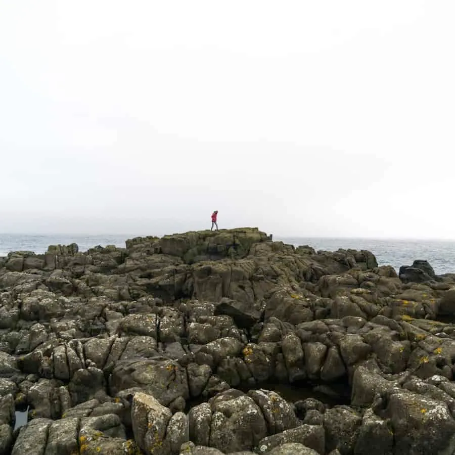 Rocky shores of southeast Iceland