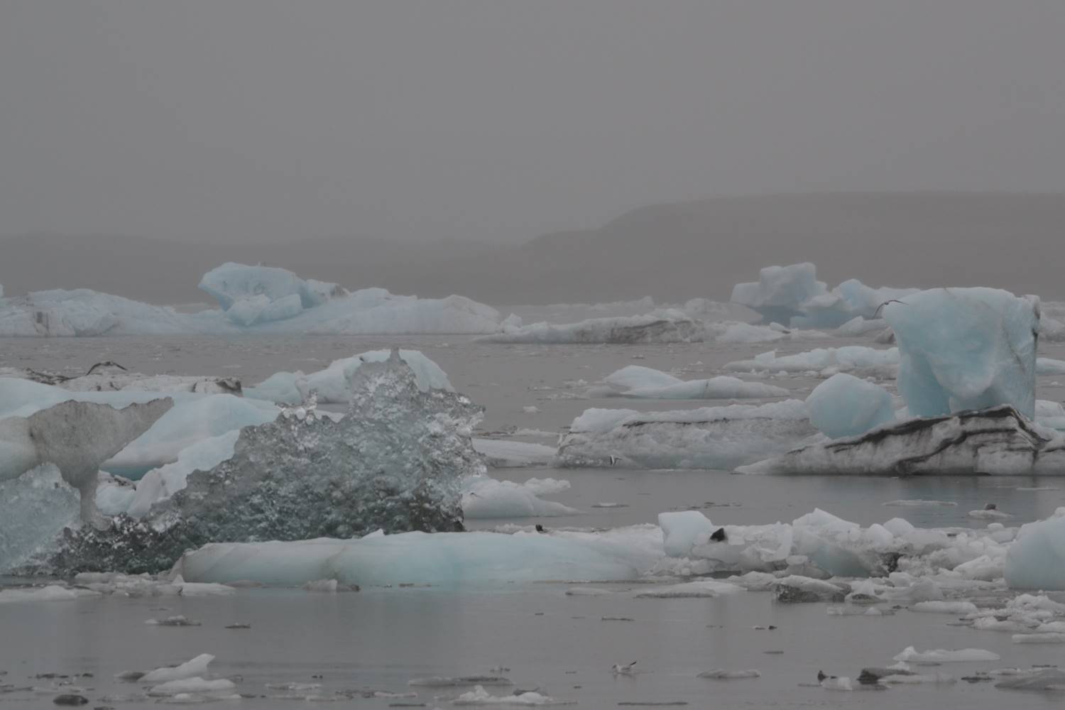 Jökulsárlón glacier lagoon