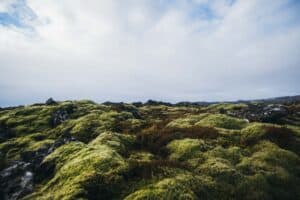 Landscapes of Iceland