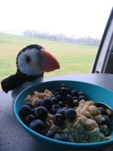 Vanessa enjoying blueberries Vanessa enjoying blueberries