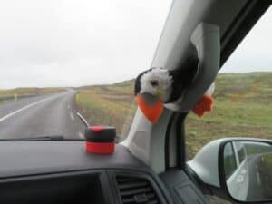 Vanessa the Puffin Vanessa the Puffin