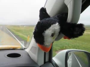 Vanessa the traveling Puffin Vanessa the traveling Puffin
