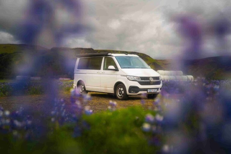 VW California 2024 in a lupin field