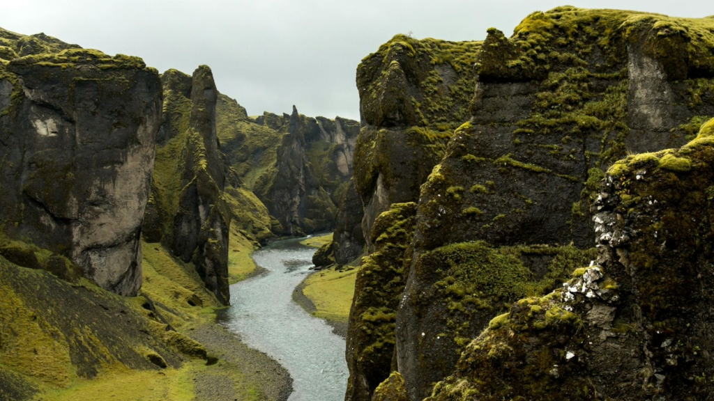 Fjaðrárgljúfur Canyon in Iceland.
