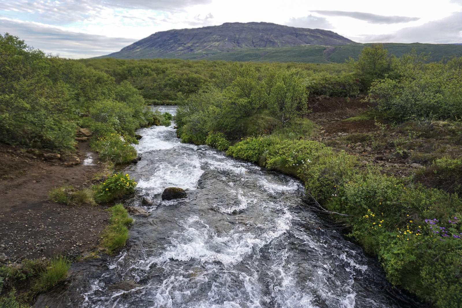 Rapids on the Brúará river at the start of the Brúarfoss hike, with green shrubs and a mountain behind