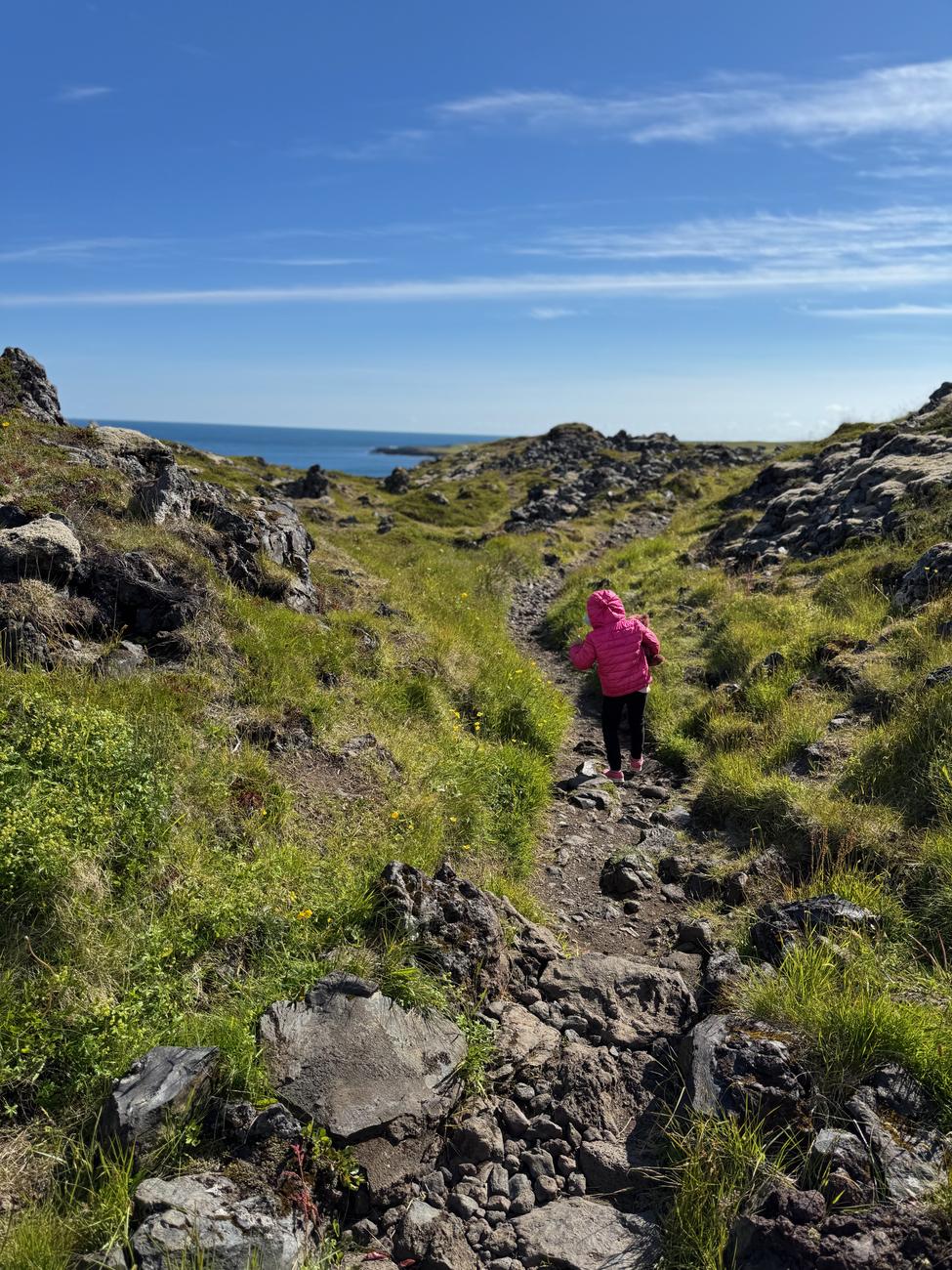 Toddler in pink leading the way on the rocky Arnarstapi to Hellnar coastal trail on Snæfellsnes